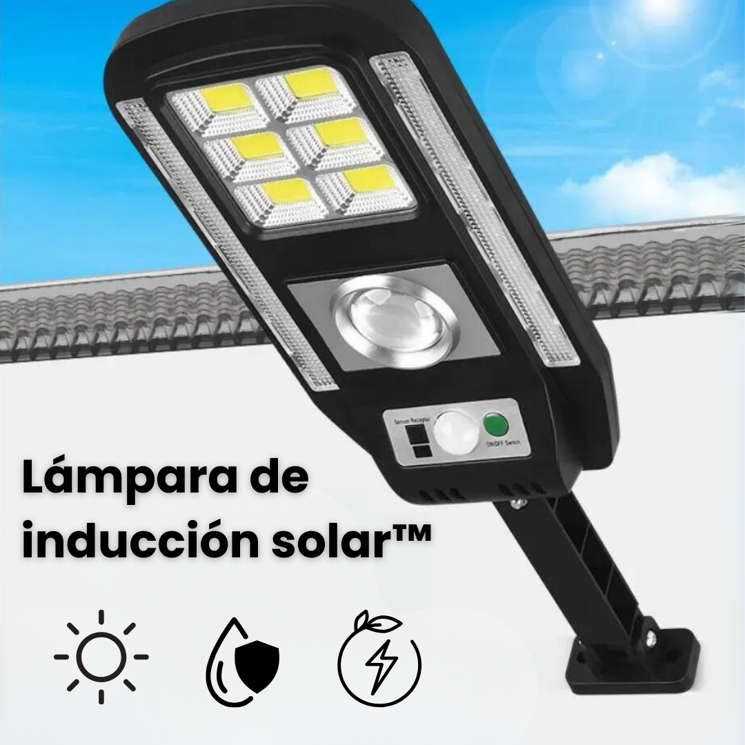 Farola Premium de Inducción Solar™ Con bateria Solar